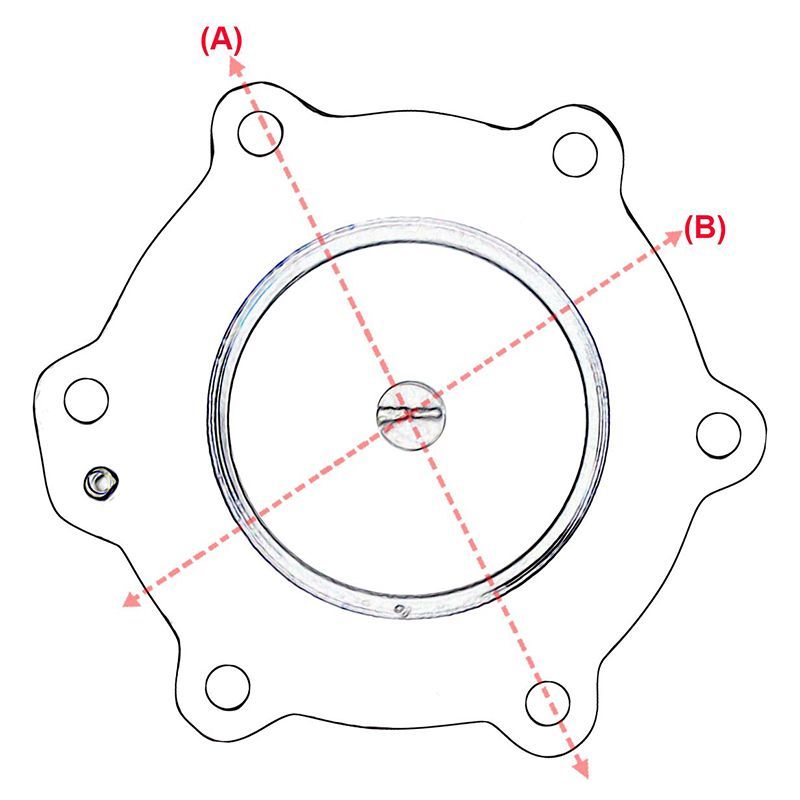 Patlaç Diyafram Lastiği PD-007